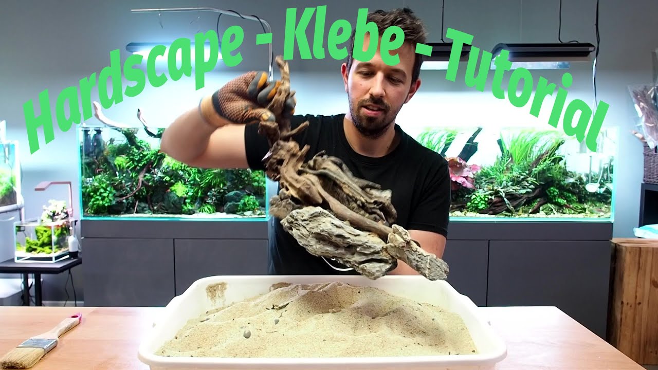 Hardscape im Aquarium verkleben! I Liquid Nature Tutorial