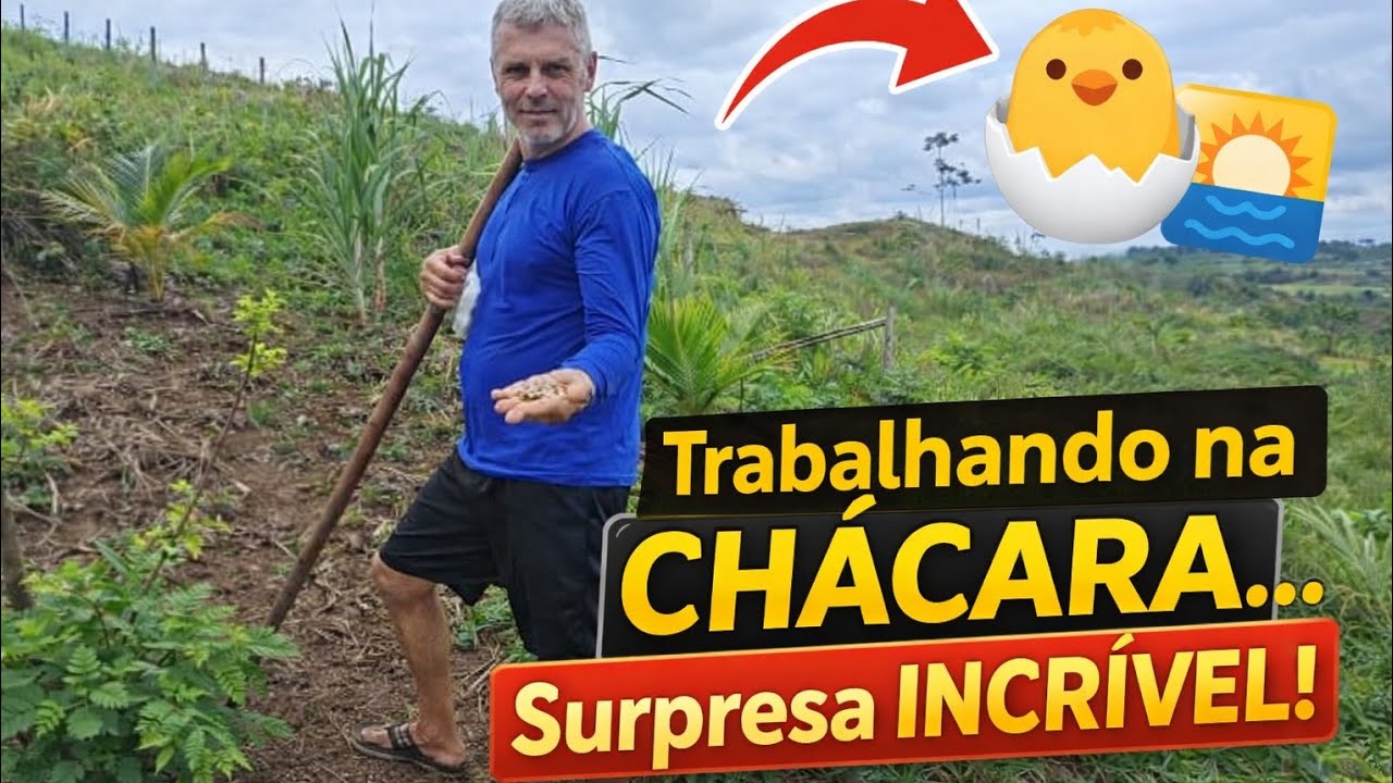 Um dia inteiro na chácara 🌿 Plantando, cuidando e um presente inesperado no final! 🐣🌅