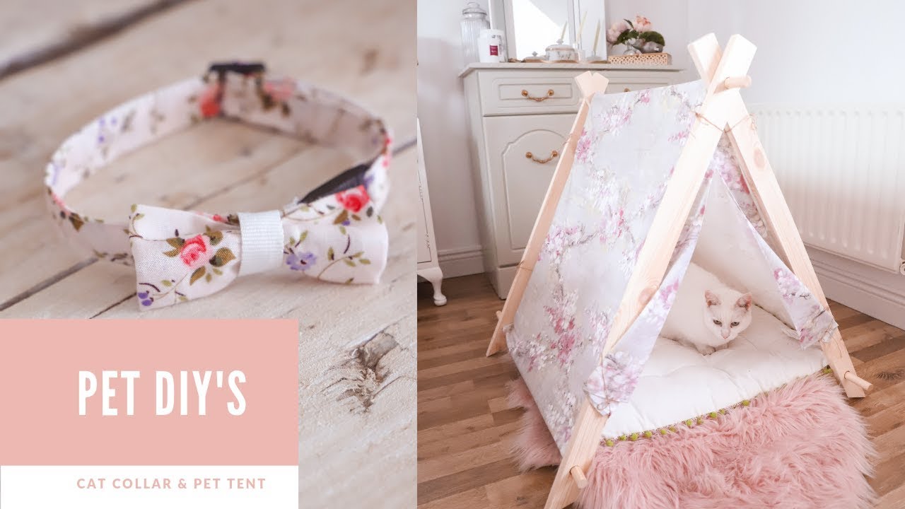 Pet DIYs, DIY cat collar and wooden pet tent