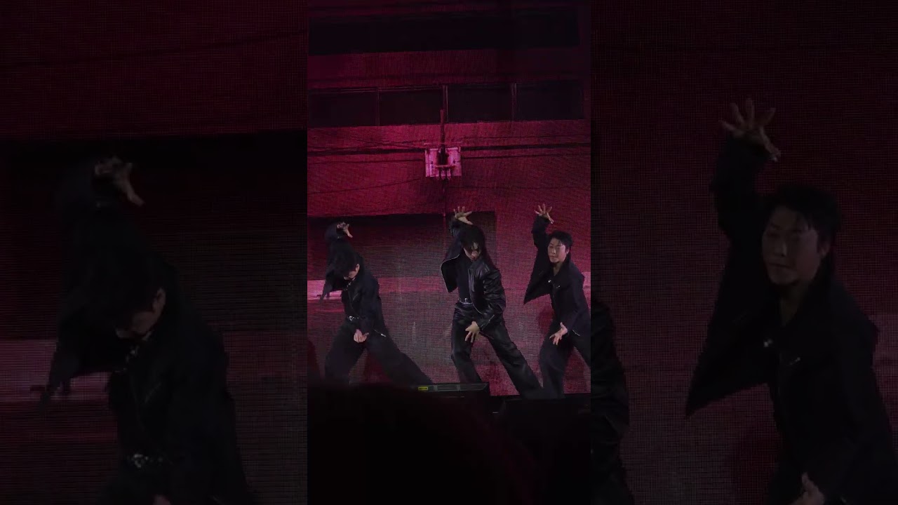 [이준호 직캠] 20260125 LEEJUNHO 이준호 팬미팅 CAN I 캔아이 4K 직캠 화정체육관 2구역 15열 시야 갤럭시25울트라