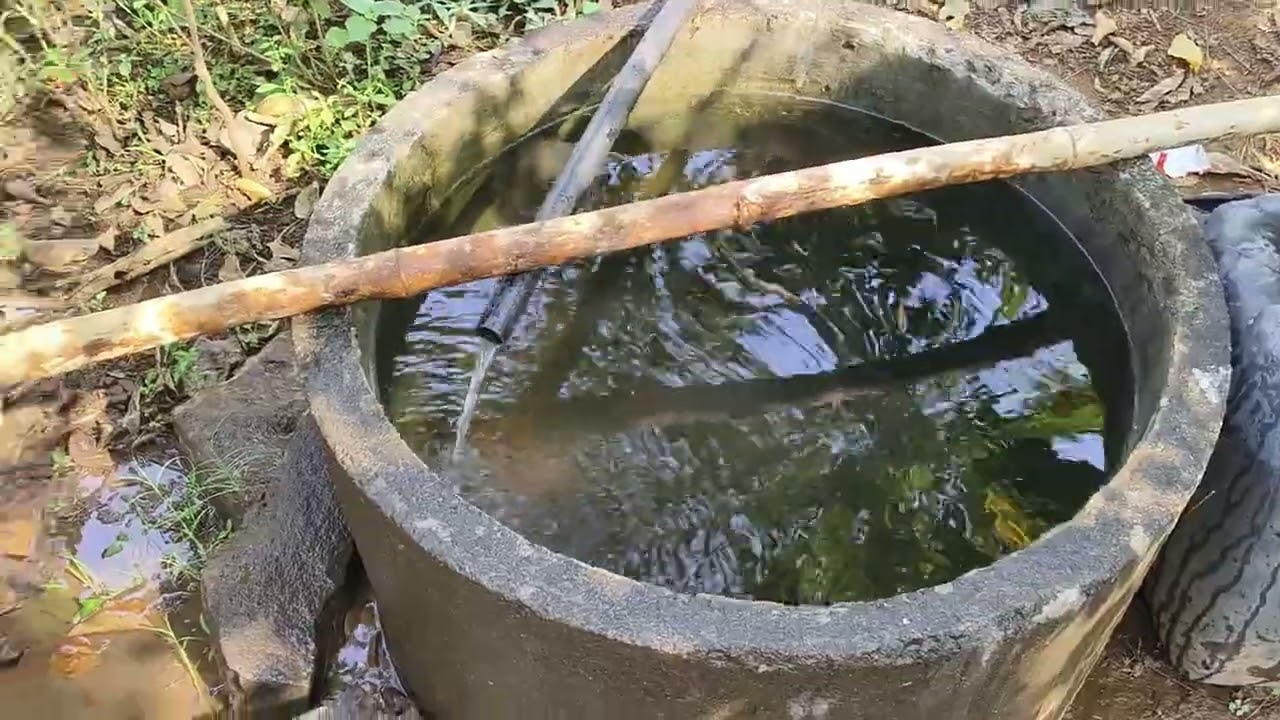 Vlog – आज सगळे कपडे धुतले. 😁😂🤣