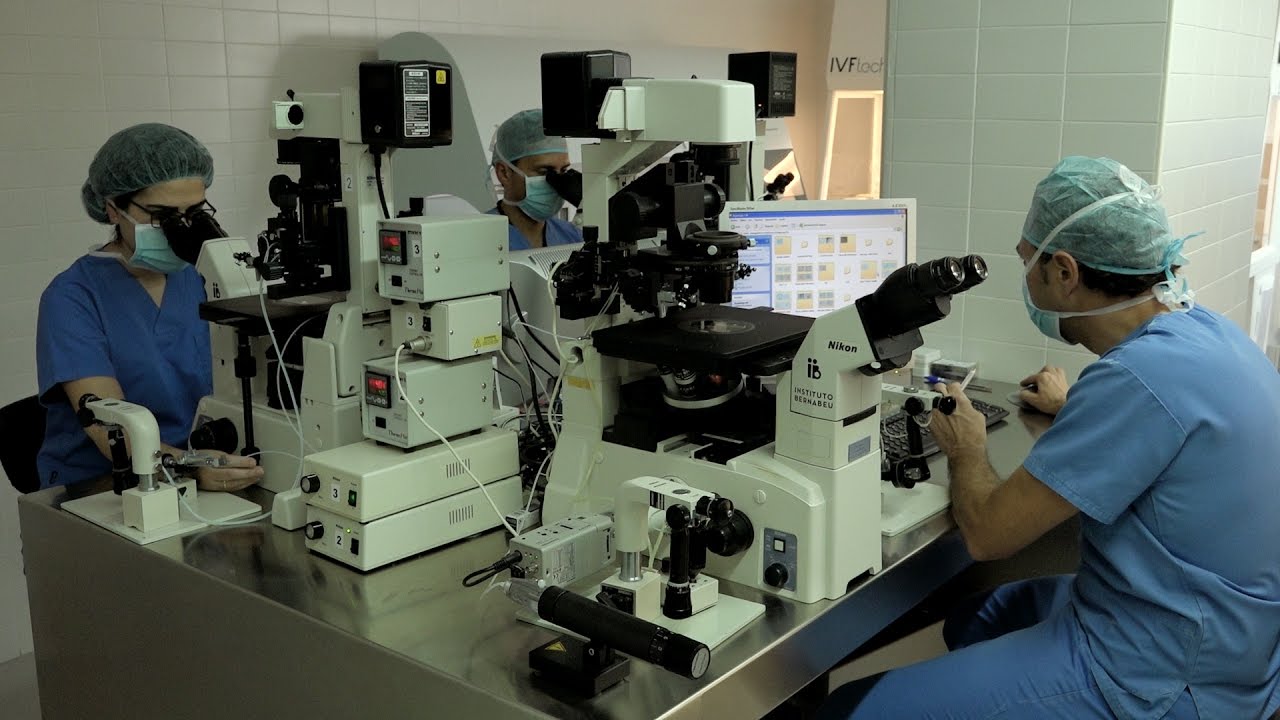 Mini or micro IVF. In vitro fertilisation during natural cycles