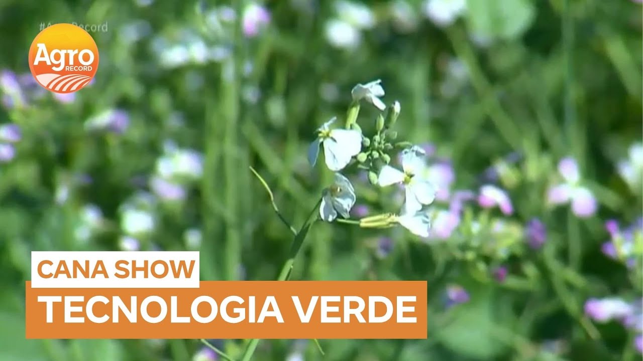 Agricultores e especialistas discutem inovações no Cana Show em Ribeirão Preto (SP)