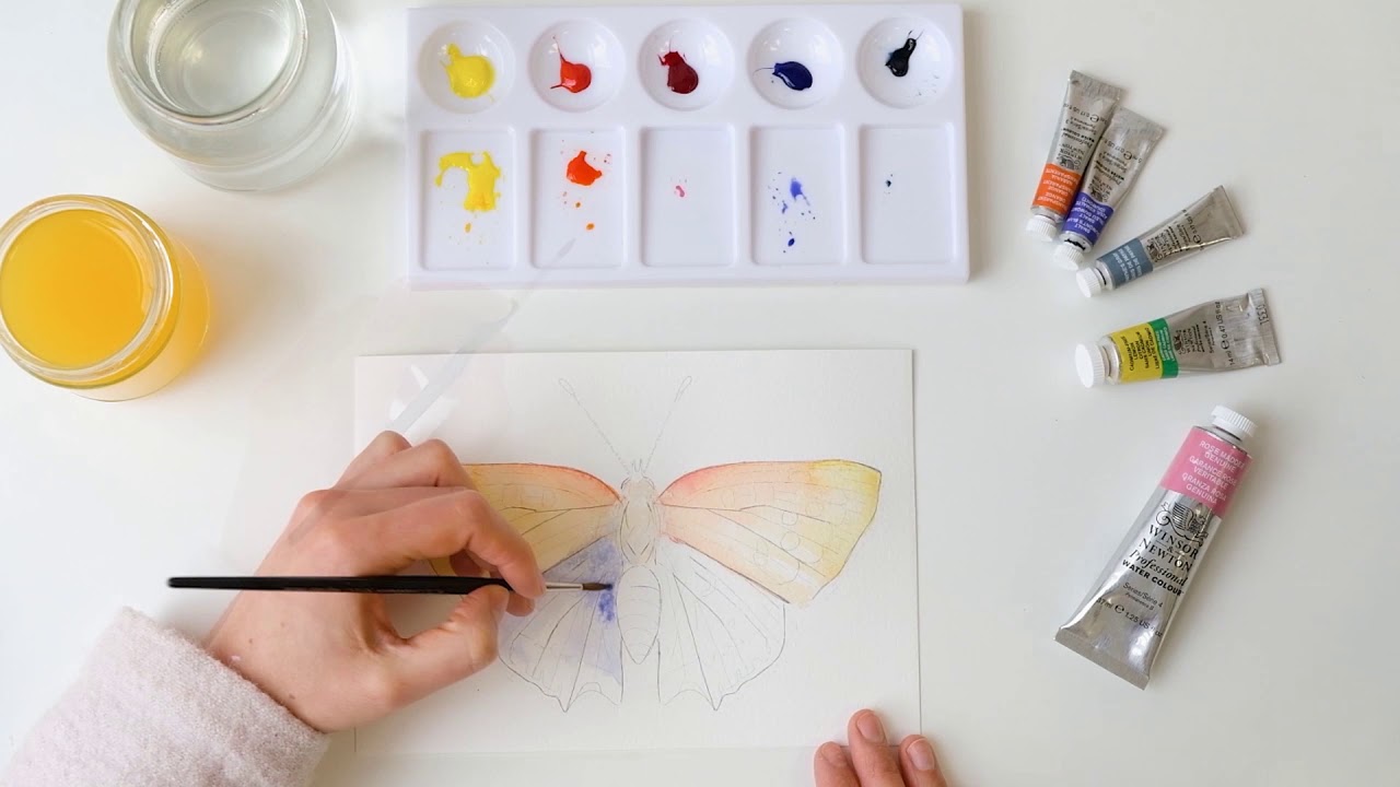 W&N video Watercolour Tutorial   Kleine vuurvlinder @Veronique