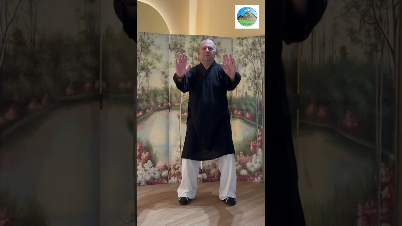 Qi Gong Wu Dang. les mouvements du bonheur. Yves Requena. série 1
