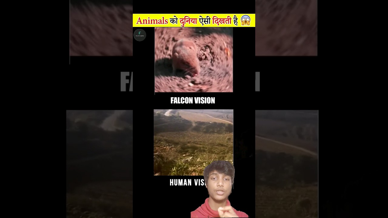 How Eagle see the world 😱 #shorts #short #viral #facts