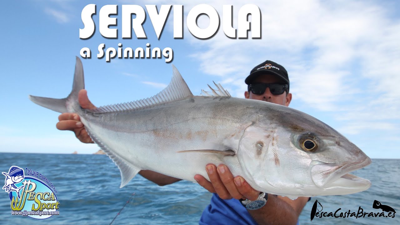SERVIOLA A SPINNING