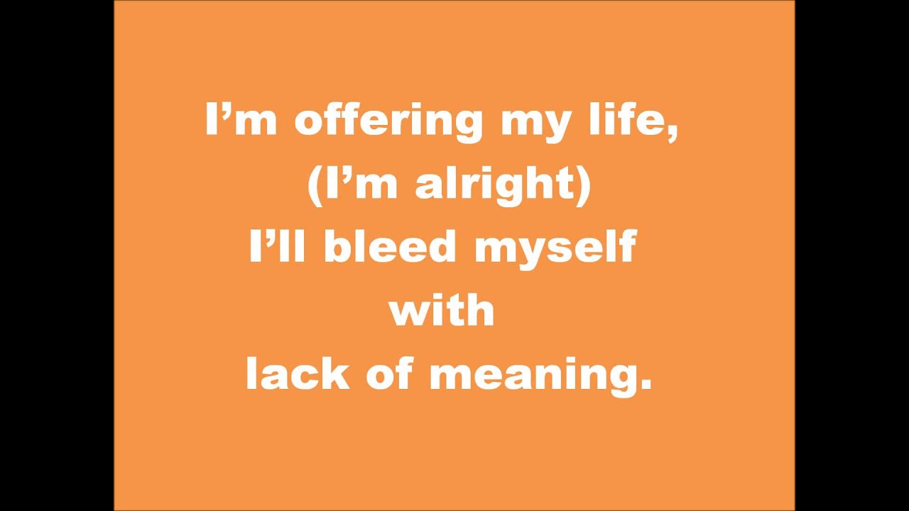 The Bunny The Bear - In Like Flynn Lyrics