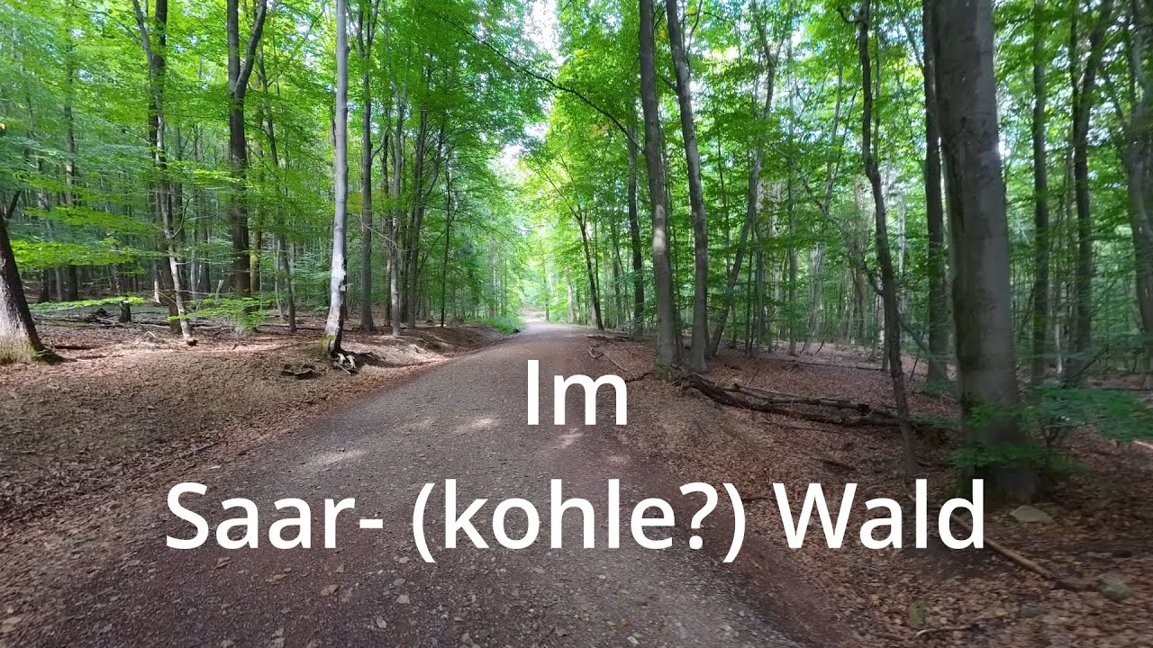 Im Saar- (Kohle ?) Wald