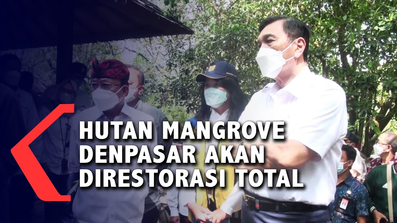 Menko Marves Kunjungi Hutan Mangrove Denpasar