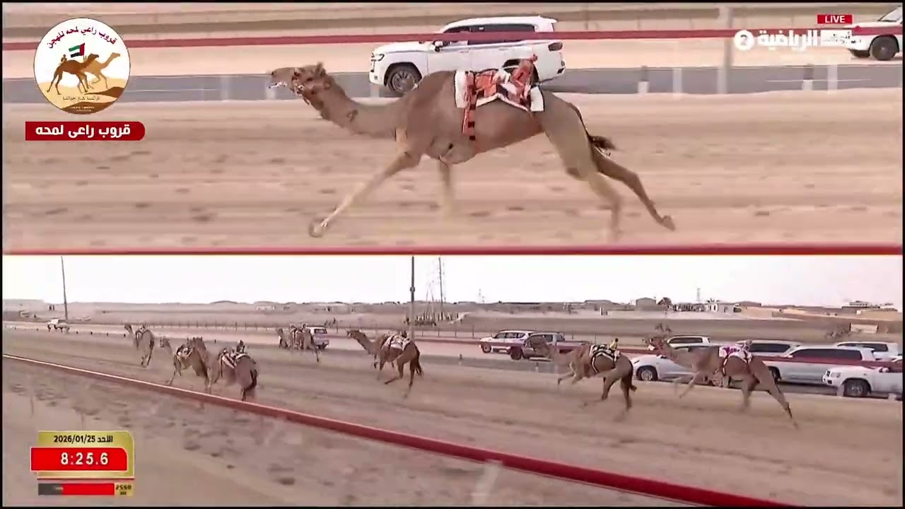 الشوط 5 نوعية لـ منصور سيف علي دري المنصوري  12:54:06( تمهيدي الوثبة 2026 )