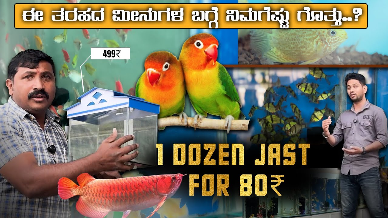 Aquarium Fish | 1 Dozne Jast  For 80₹ | ಈ ತರಹದ ಮೀನುಗಳ ಬಗ್ಗೆ ನಿಮಗೆಷ್ಟು ಗೊತ್ತು..? | 