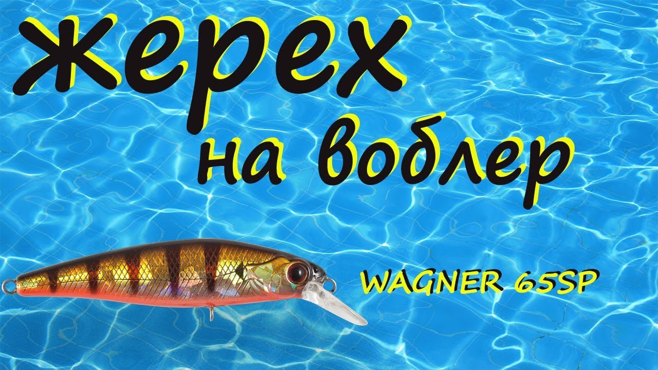 Asp on wobbler WAGNER 65SP