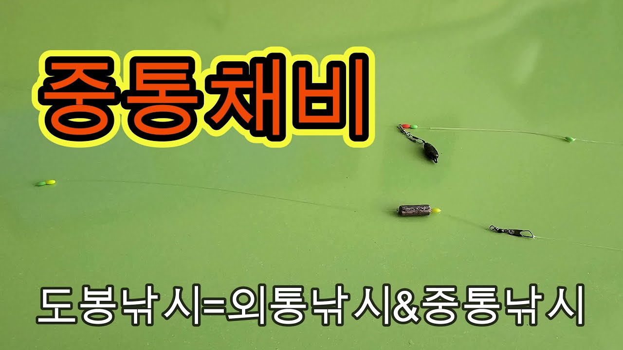 중통채비를 알아 보겠습니다 - 2024년 1월 7일