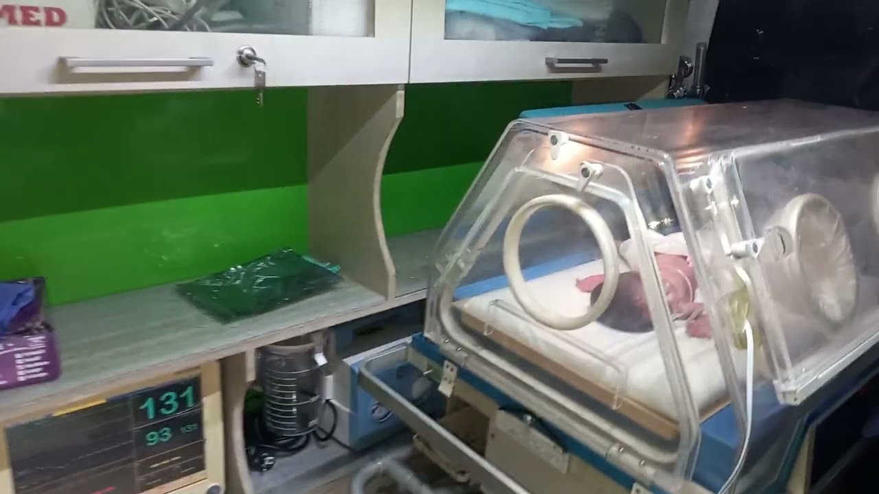 incubator Service's