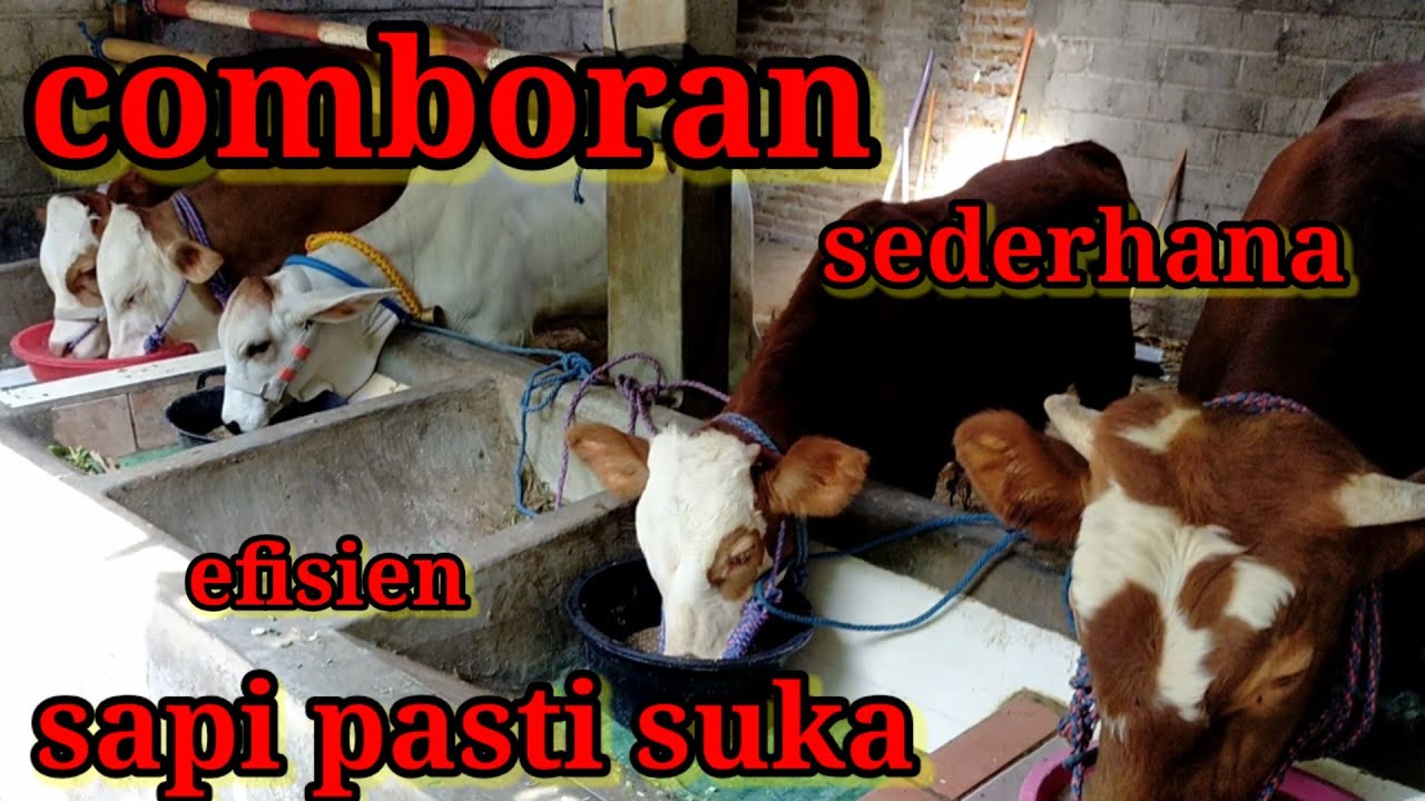 irit biaya pengeluaran! ! ! comboran sederhana , efisien dan efektif - comboran sederhana