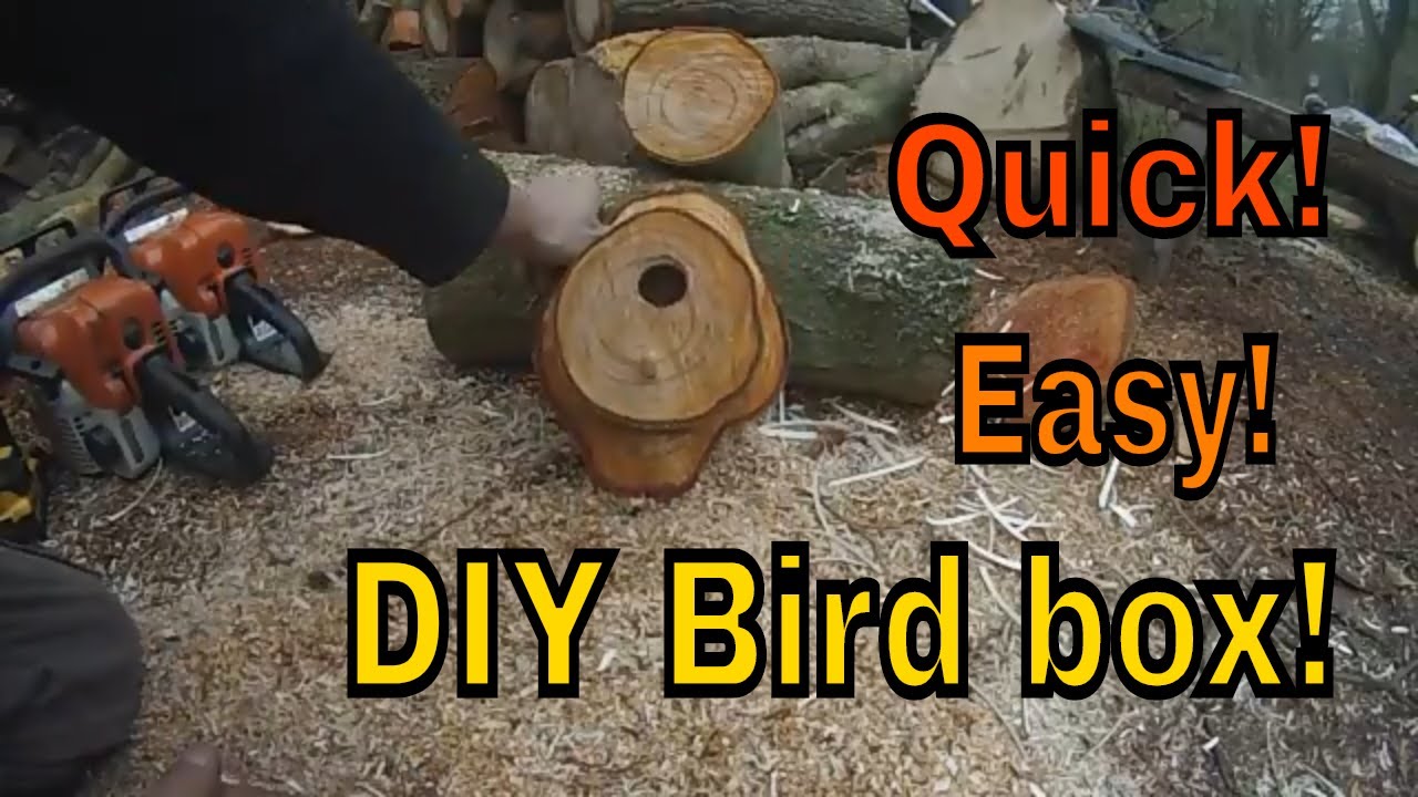 !!!Best Wooden Bird Box!!!, Looks Great and Is Easy to Make!!!