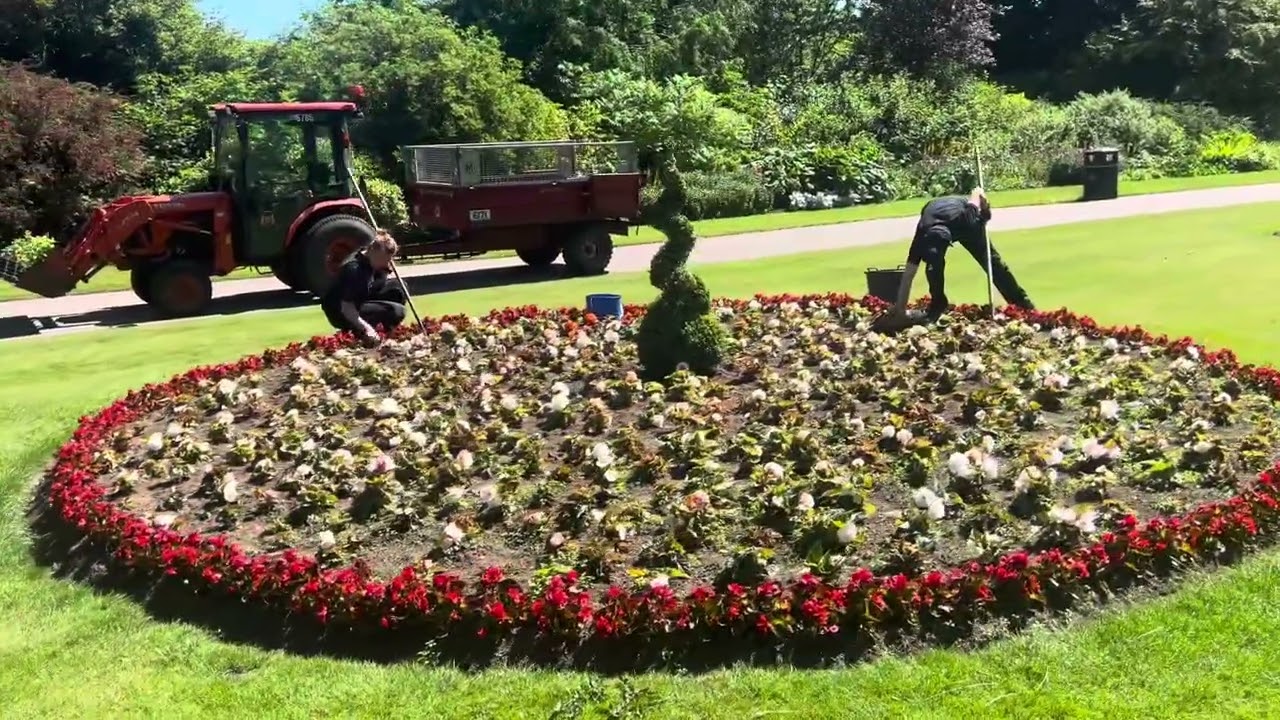 Seaton Park Aberdeen - July 2025 - STUNNING!!
