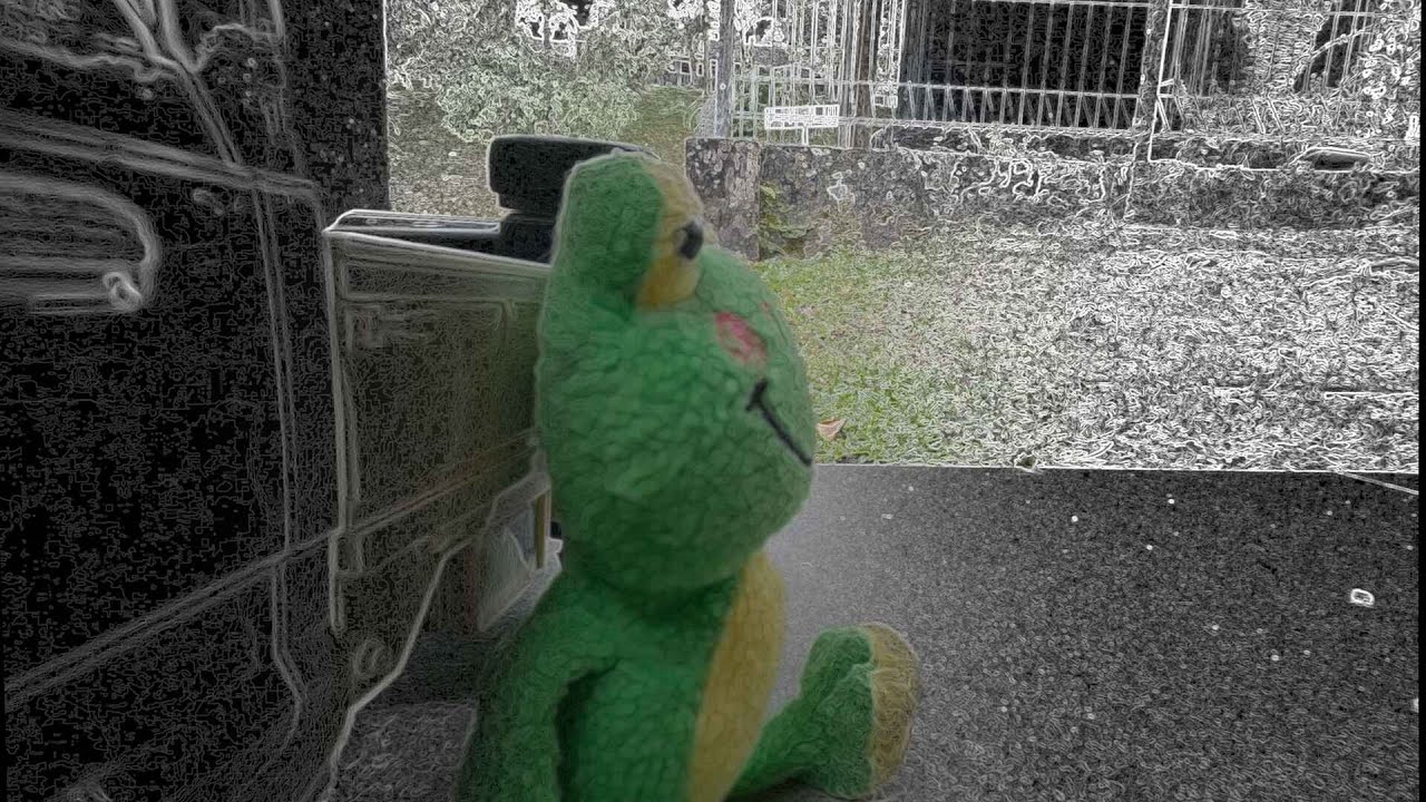 i don't know how to title this video but it has frog and car