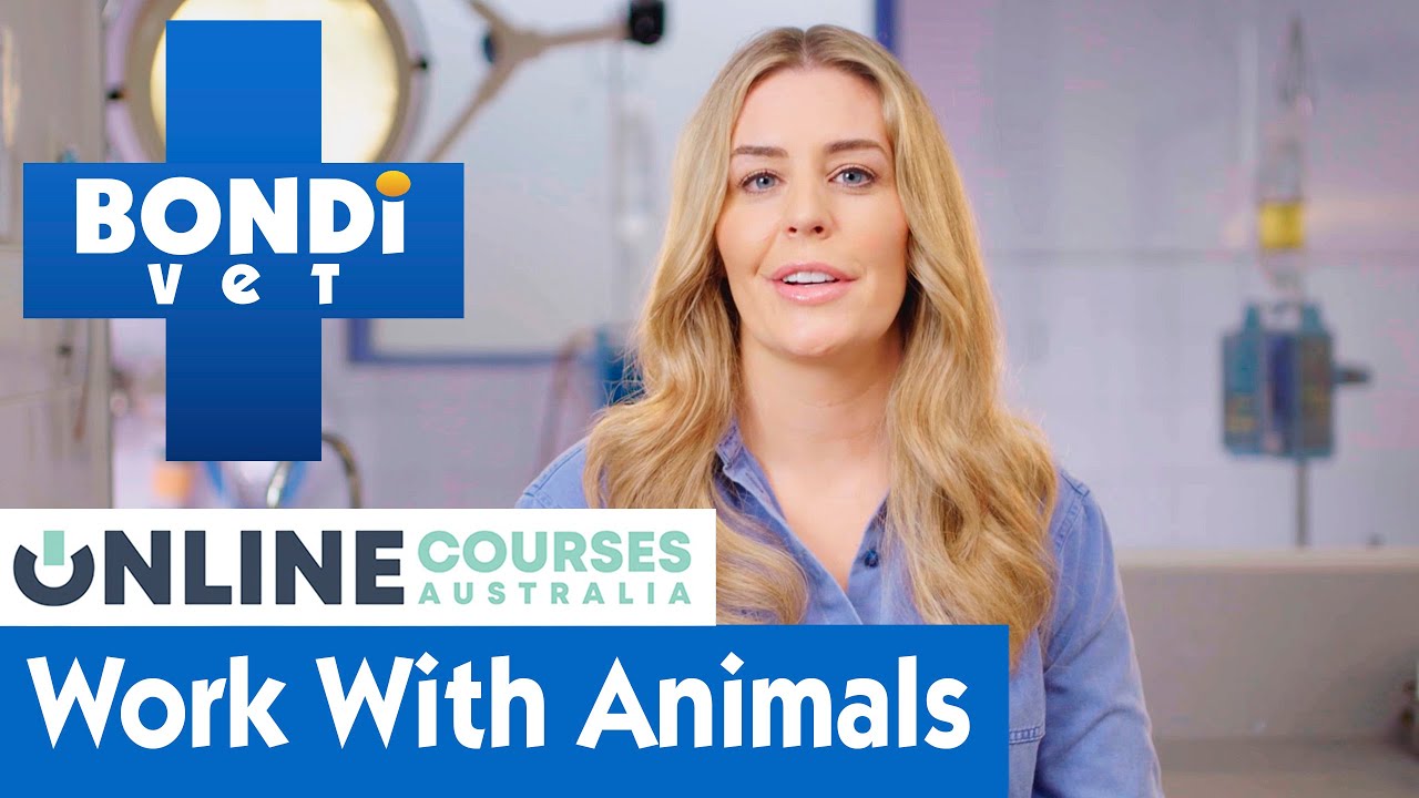 Do You Want To Work With Animals?