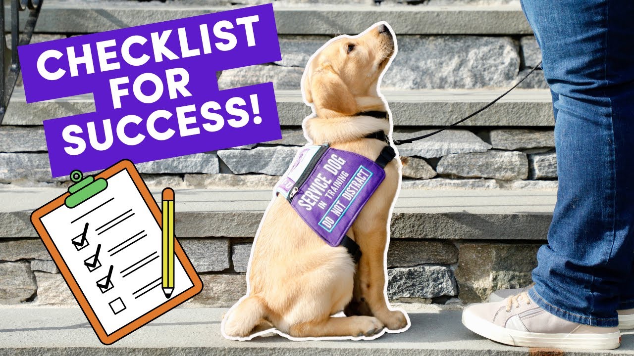 Service Dog Socialization Checklist