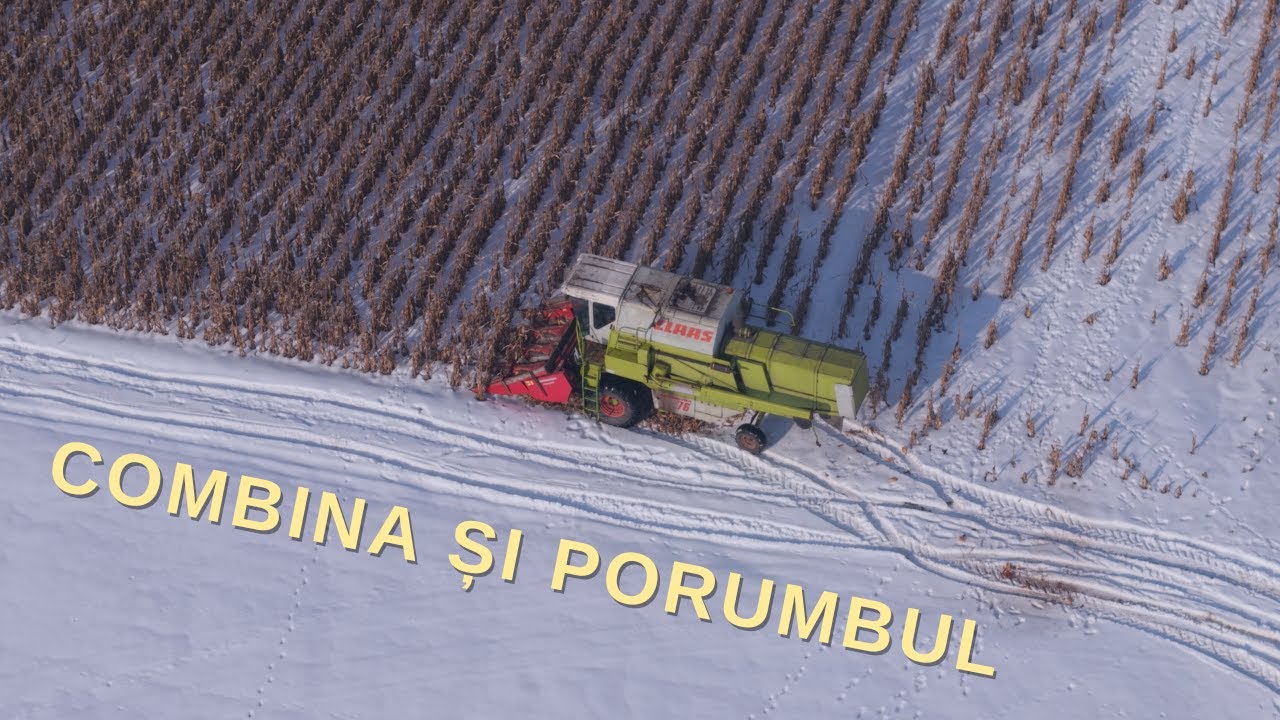 COMBINA ȘI PORUMBUL