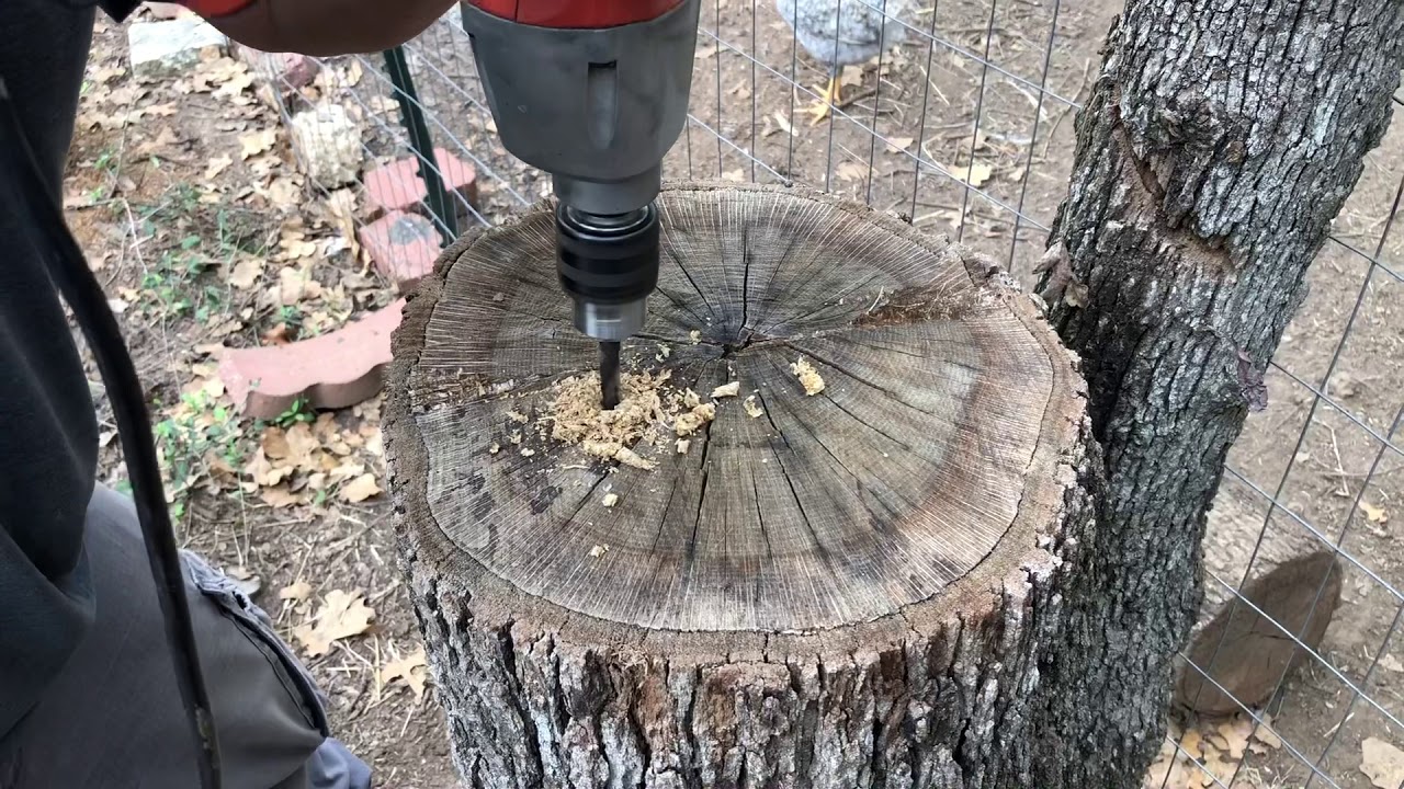 Burning a tree stump, easy removal