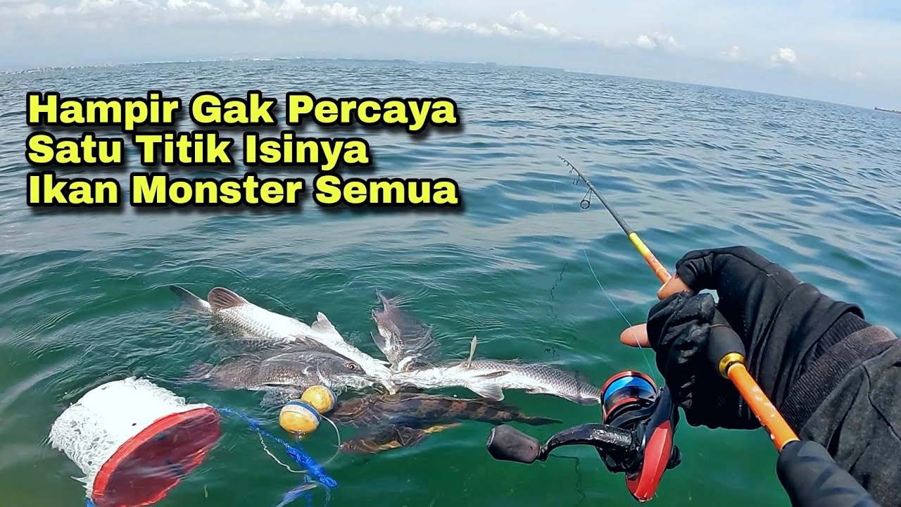 Di Luar Nalar !!! Ntah Mimpi Apa Semalam, Cuma Satu Titik Bisa Ngomset Ikan Monster- Monster Dam Ijo