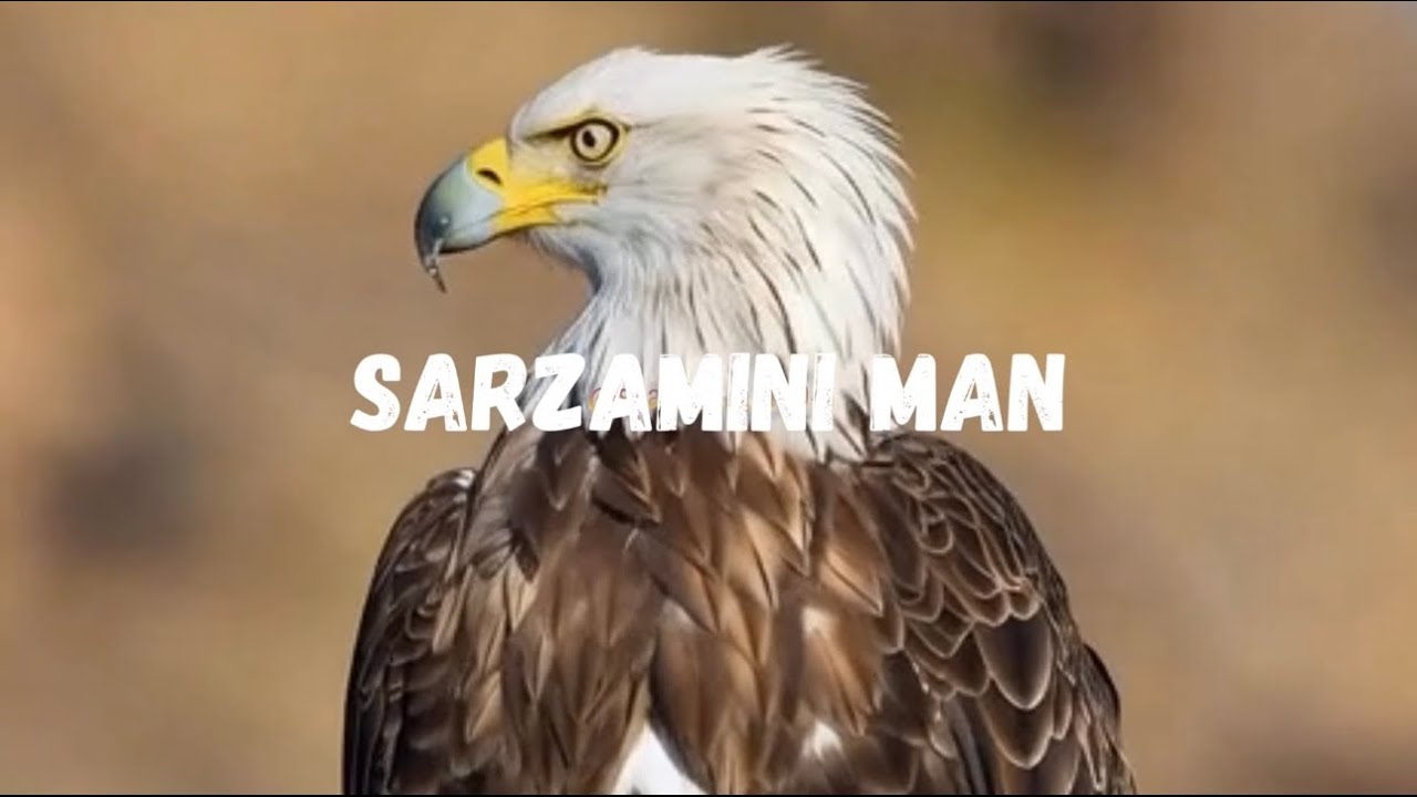 Sarzamini man: سرزمین من، خسته-خسته از جفا