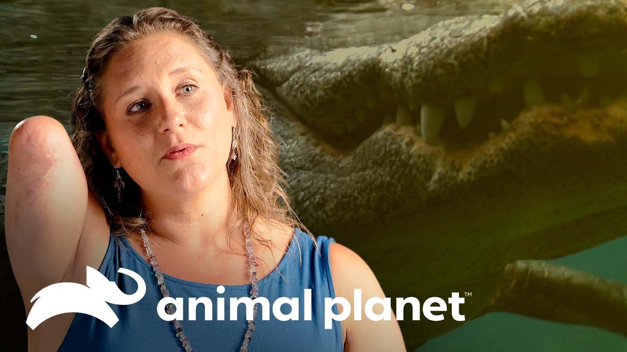 Jacaré aligátor arranca dois terços do braço dela | Cara a Cara com as Feras | Animal Planet Brasil