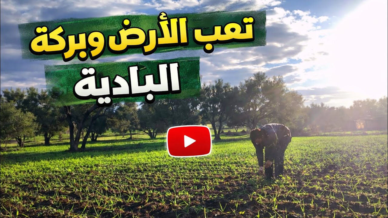 تعب الأرض وبركة البادية نشارككم أجواء العمل حمدلله 💔🤲