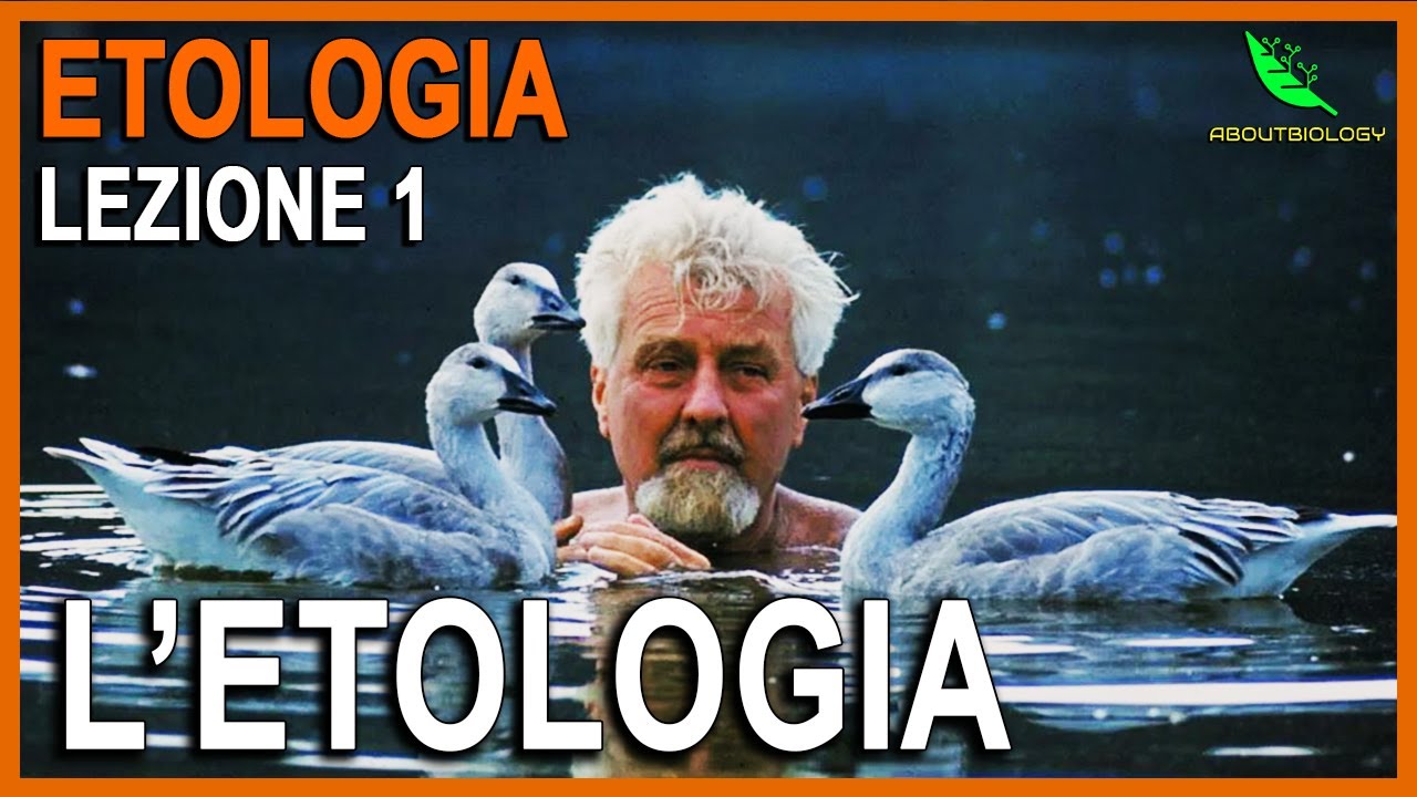 Introduzione all'ETOLOGIA , EVOLUZIONE e concetto di GENE EGOISTA.   -Etologia Lezione 1