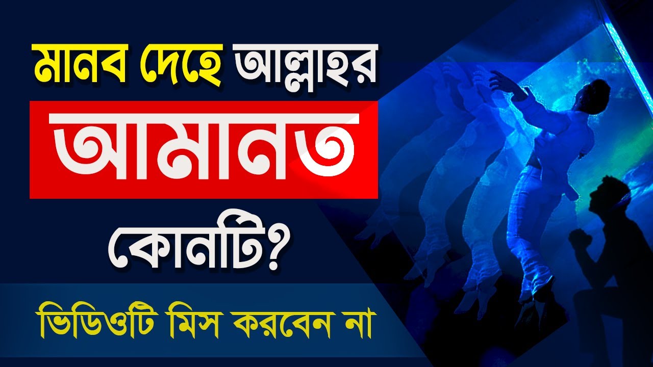 মানব দেহে আল্লাহর আমানত কোনটি জানলে অবাক হবেন || হাবিবুর রহমান রেজভী || তরিকত টিভি