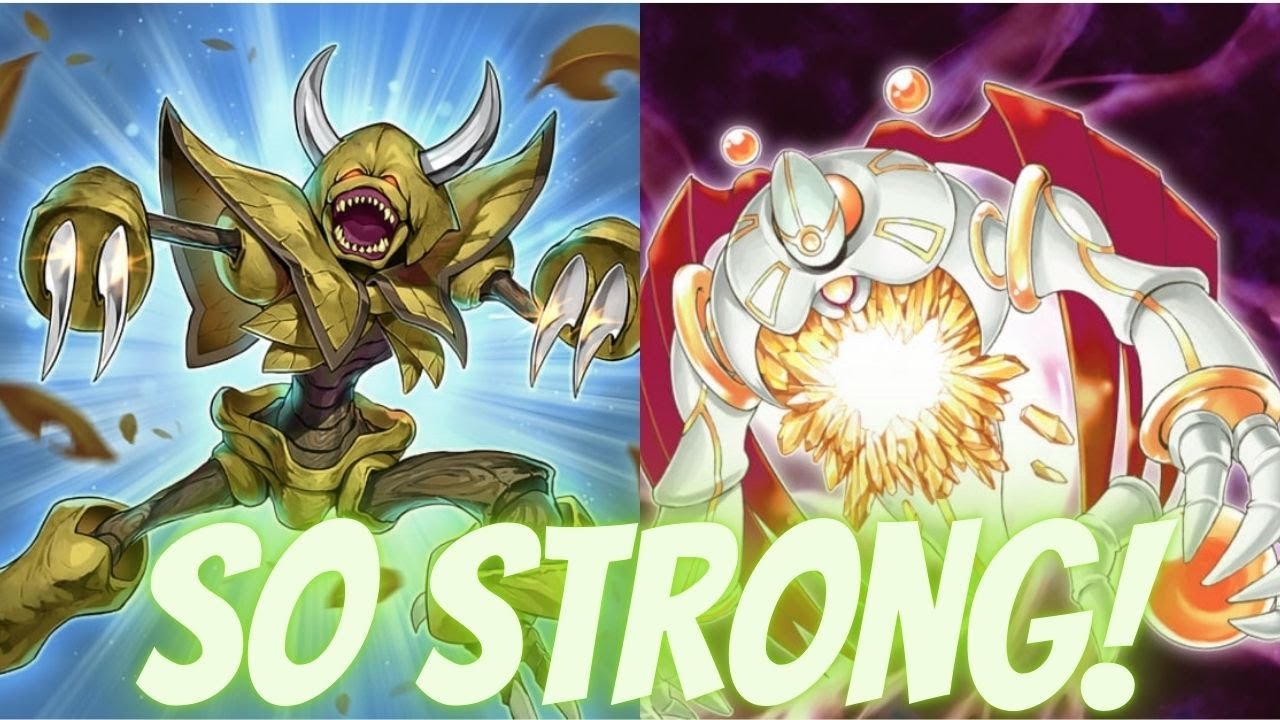 The Super Budget N/R Only Deck Dominates Master Rank! Yugioh Master Duel