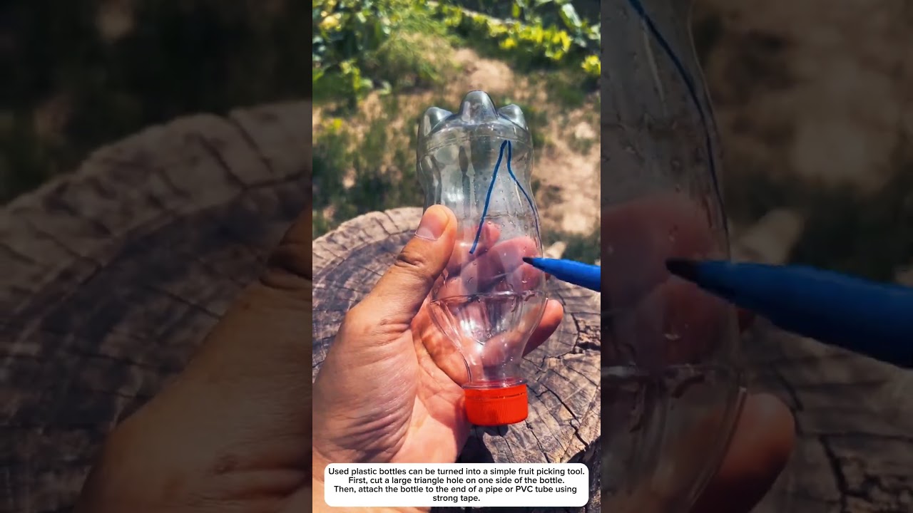 Fruit Picker Made from a Plastic Bottle