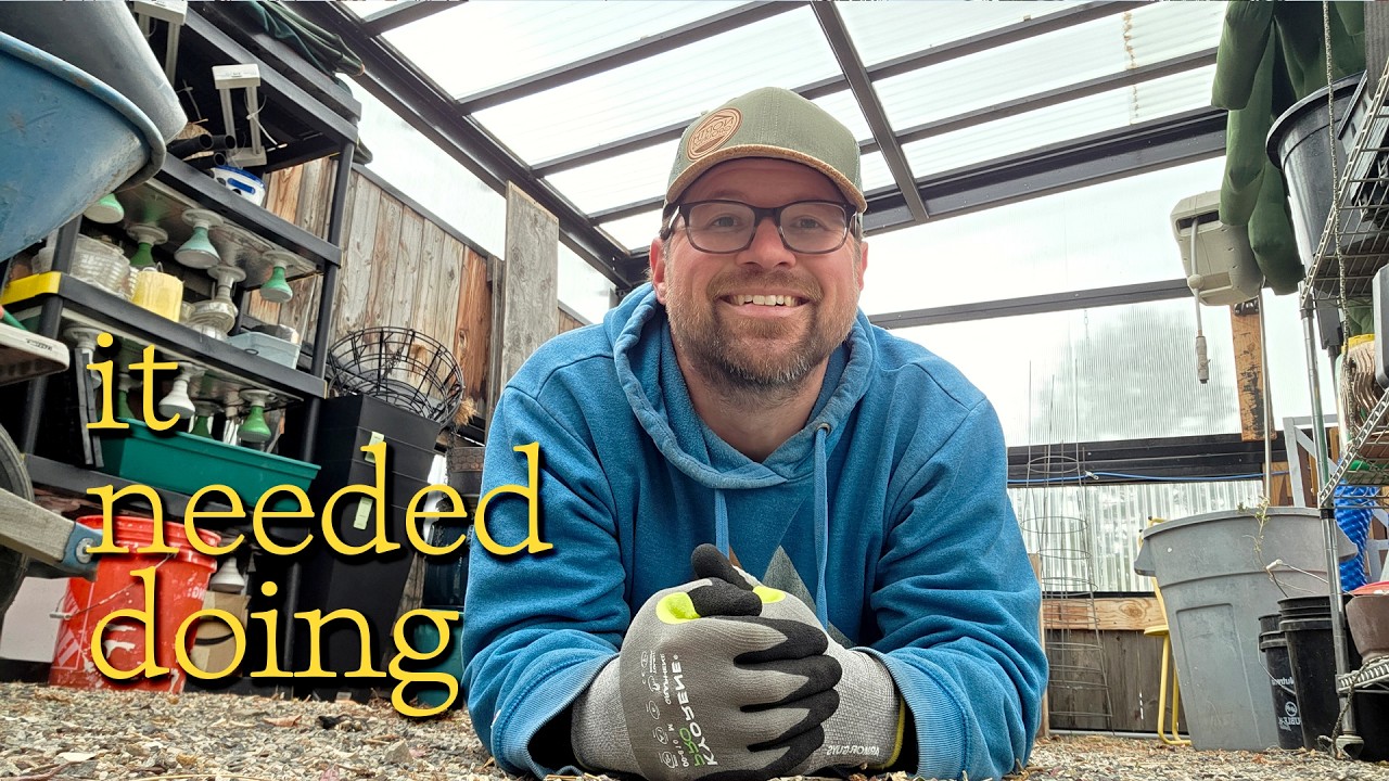 I Sort-of Kind-of Clean My Greenhouse | Preparing seed trays for cold, clearing room for more seeds