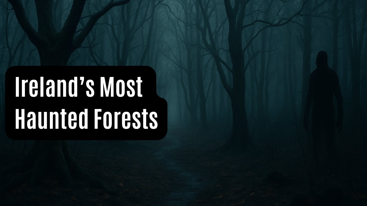 Ireland’s Haunted Forests: Part 2 – More Terrifying Tales from the Woods