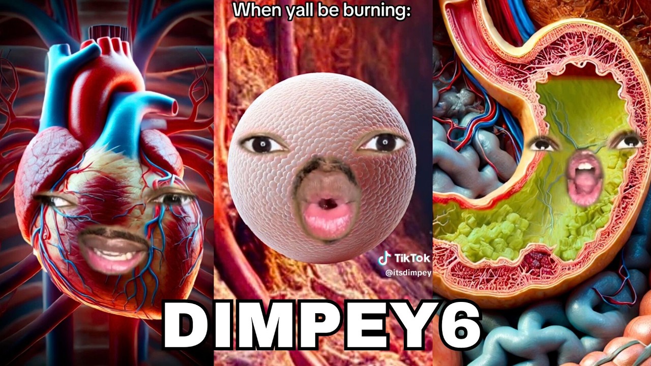 *2 HOURS* Dimpey6 New Best Funny TikTok Videos | Dimpey6 Shorts Videos 2026 - Shorts Comps