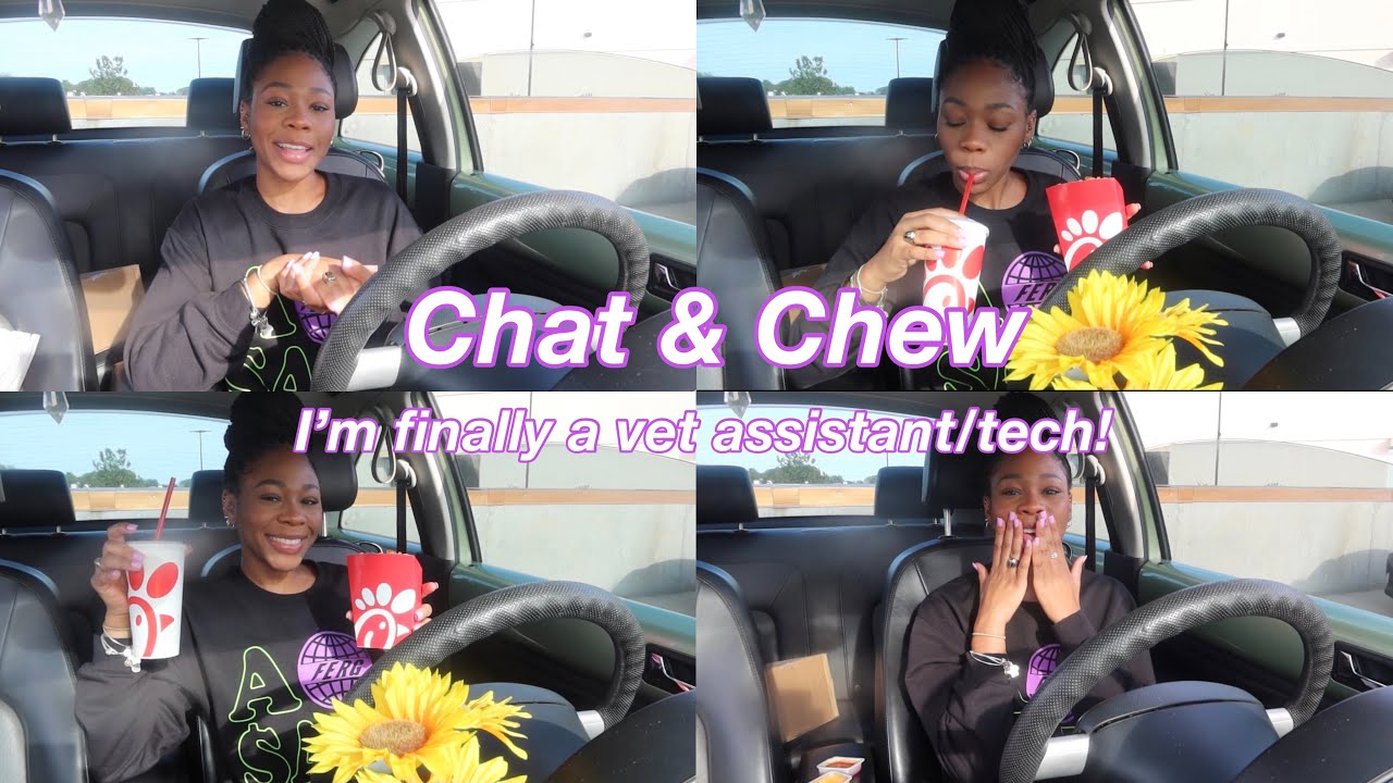 How I Became a Veterinary Assistant with NO EXPERIENCE! | Chat & Chew w/ Nay