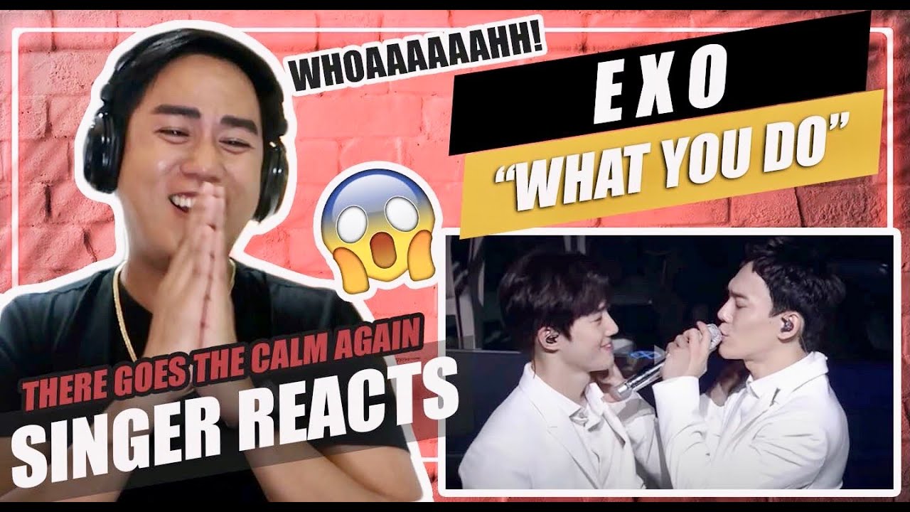 EXO - WHAT YOU DO [The EℓyXiOn in Seoul] | SINGER REACTION