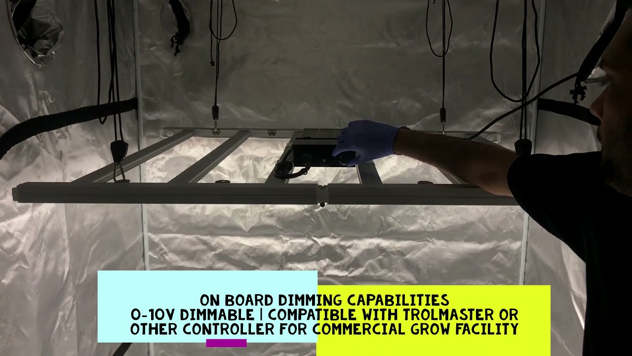 Crecer Lighting VertX 600 LED Grow Light System | Energy-Efficient LED Grow Light Fixture