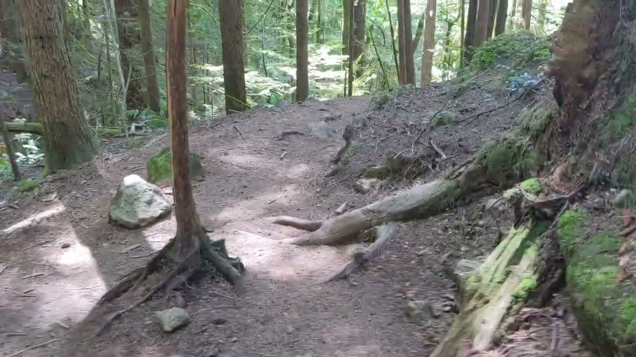 4 Lakes Trail going to Alice Lake