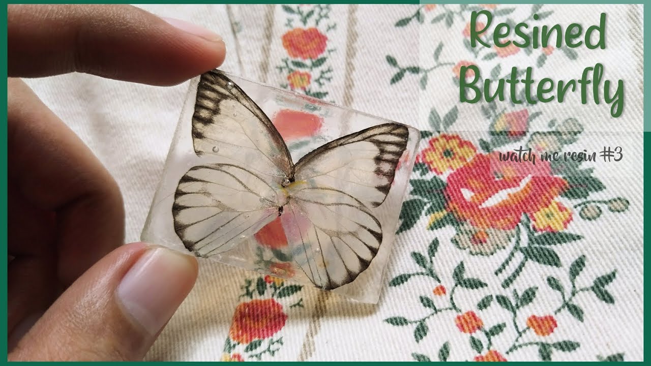 I found a dead butterfly and preserved it (RESINED BUTTERFLY) tutorial