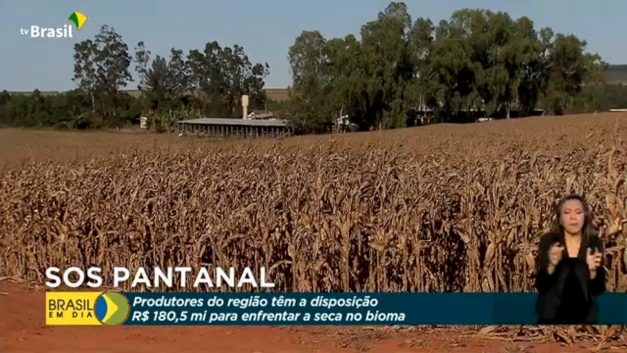 Seca no Pantanal