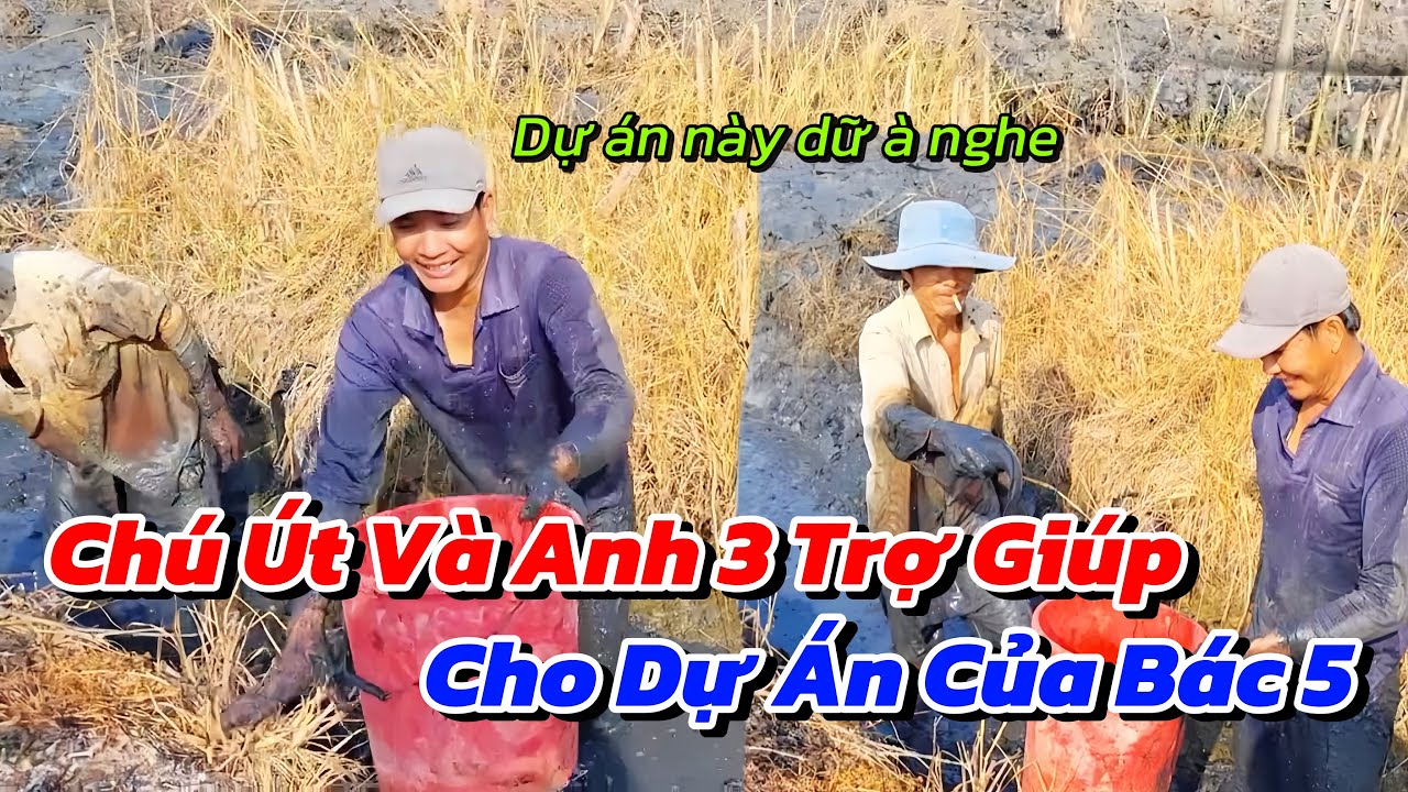 Rất Cần Sự Trợ Giúp Của Chú Út Và Anh 3 Để Dự Án Mới Của Bác 5 Sớm Được Hoàn Thành 