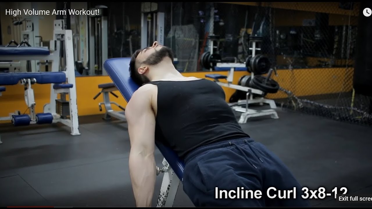 AlphaDestiny Is Now Doing The Rich Piana 8 Hour Arm Workout!