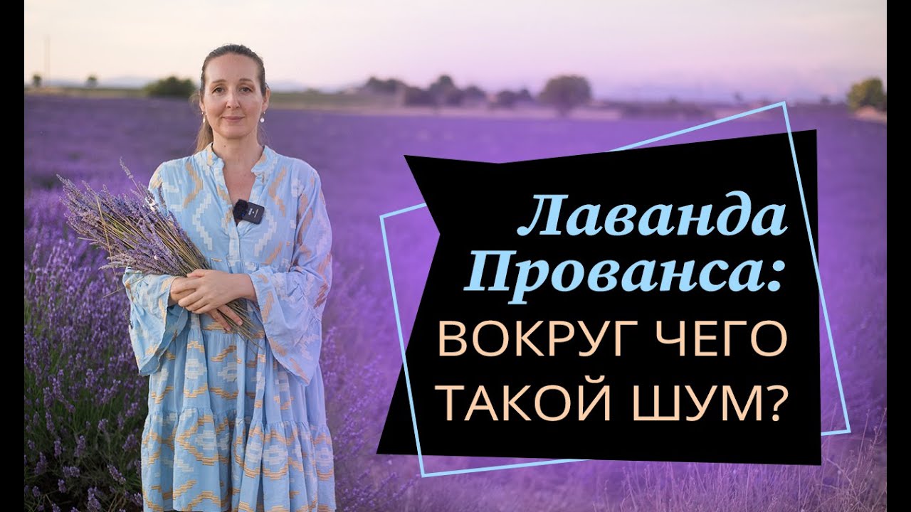 #франция #прованс #лаванда Путешествие по Франции//Лавандовые поля Прованса