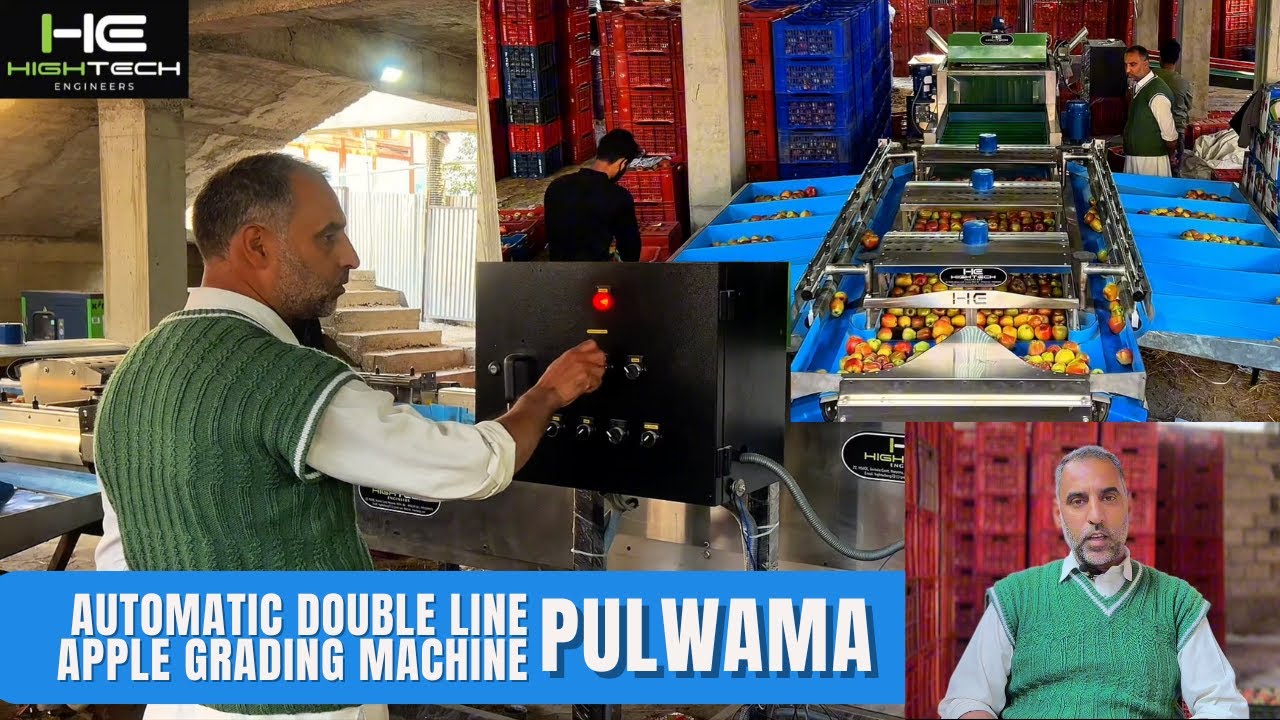 Double Line Automatic Apple Grading Machine in Pulwama by High Tech Engineers - 99920-99970