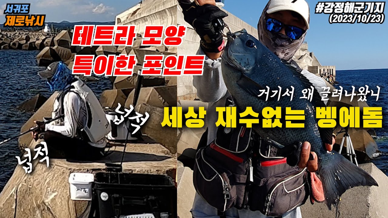 대물 4짜 벵에돔들을 마릿수로 잡을수 있는 제주도 테트라, 테트라가 이렇게 편해도 되나?