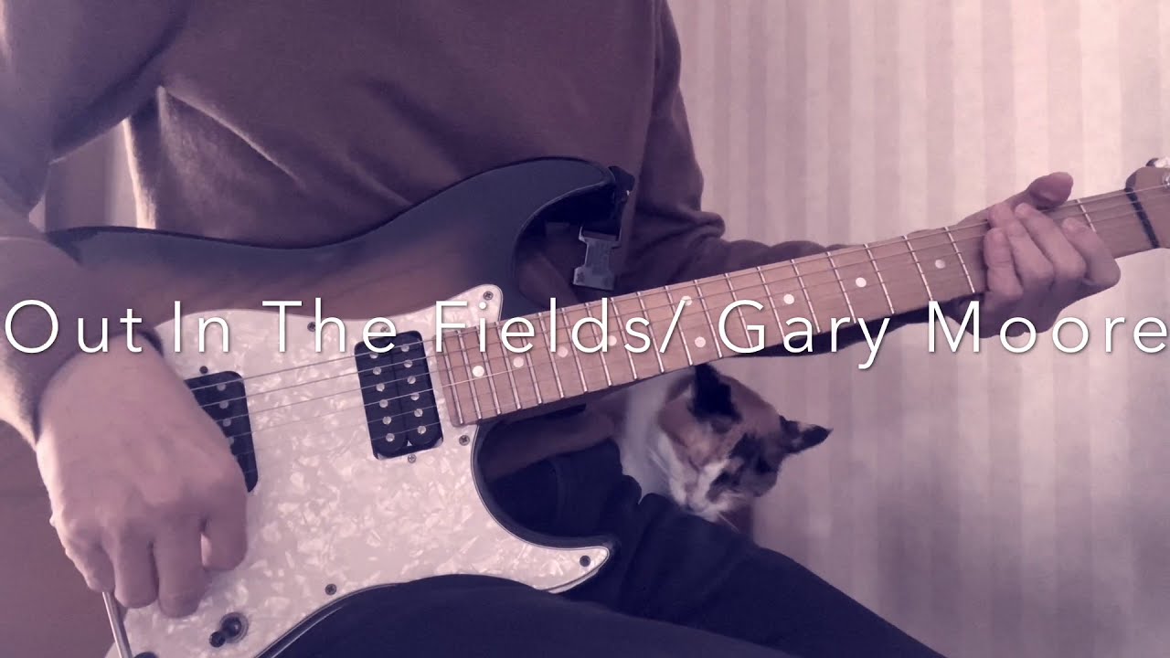 Gary Moore & Phil Lynott- Out in the Fields - guitar cover -＆ cat(50s Japanese Rock Guitarist)